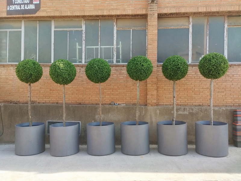 maceta plast arbol bola boj ficticio alt 80-265 o65-81 6u